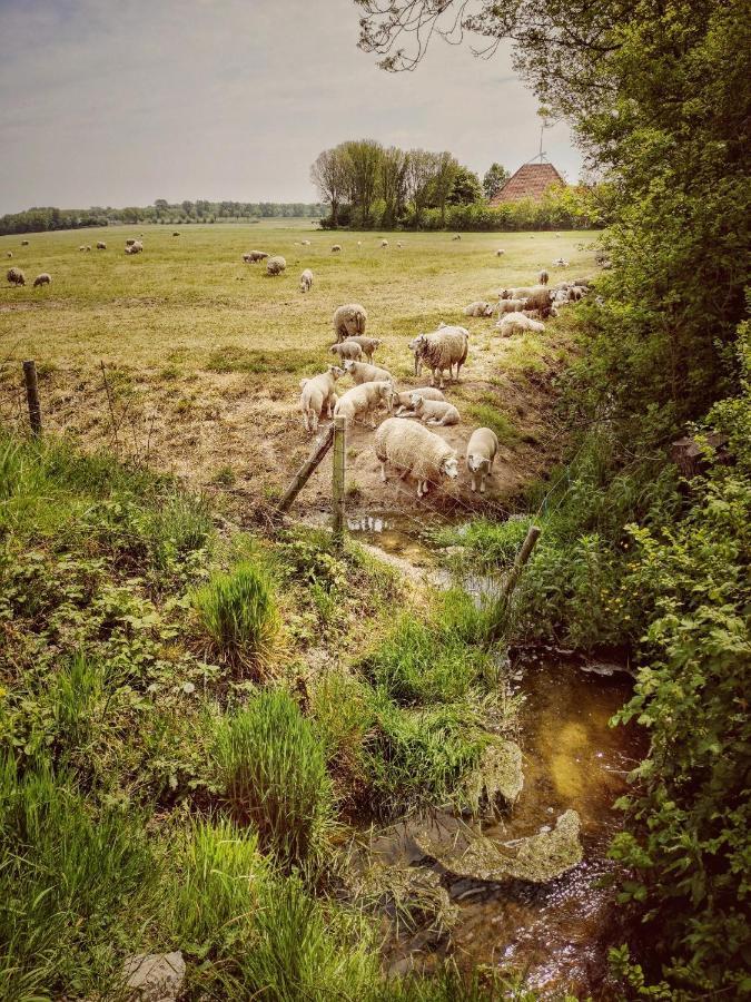 Vita Nova Hippolytushoef Zewnętrze zdjęcie
